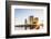 Japan, Honshu, Tokyo, Asakusa, Sumida River and Tokyo Sky Tree-Steve Vidler-Framed Photographic Print