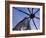 Japan, Honshu, Tokyo, Roppongi Hills, Mori Tower and Maman Spider Sculpture-Gavin Hellier-Framed Photographic Print