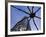 Japan, Honshu, Tokyo, Roppongi Hills, Mori Tower and Maman Spider Sculpture-Gavin Hellier-Framed Photographic Print