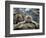 Japan Hot Spa Monkeys-Koji Sasahara-Framed Photographic Print