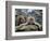 Japan Hot Spa Monkeys-Koji Sasahara-Framed Photographic Print