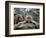 Japan Hot Spa Monkeys-Koji Sasahara-Framed Photographic Print