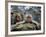 Japan Hot Spa Monkeys-Koji Sasahara-Framed Photographic Print