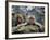 Japan Hot Spa Monkeys-Koji Sasahara-Framed Photographic Print