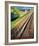 Japan - Japanese Government Railways-null-Framed Giclee Print