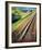 Japan - Japanese Government Railways-null-Framed Giclee Print