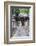 Japan, Kanagawa, Kamakura, Hokokuji Temple Entrance-Rob Tilley-Framed Photographic Print