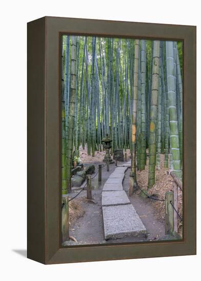 Japan, Kanagawa, Kamakura, Hokokuji Temple Garden-Rob Tilley-Framed Premier Image Canvas