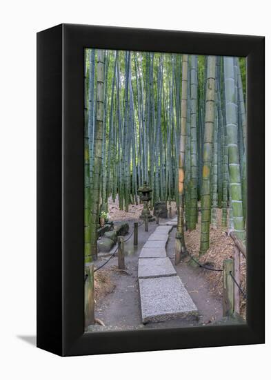 Japan, Kanagawa, Kamakura, Hokokuji Temple Garden-Rob Tilley-Framed Premier Image Canvas