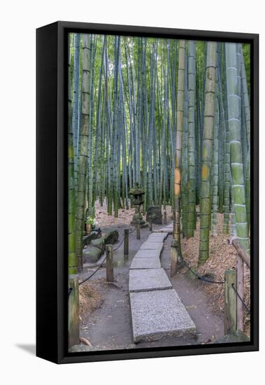 Japan, Kanagawa, Kamakura, Hokokuji Temple Garden-Rob Tilley-Framed Premier Image Canvas