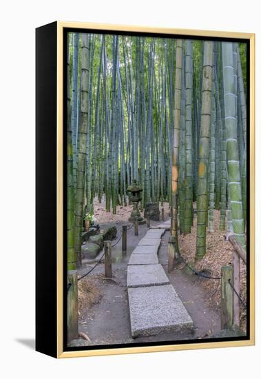 Japan, Kanagawa, Kamakura, Hokokuji Temple Garden-Rob Tilley-Framed Premier Image Canvas