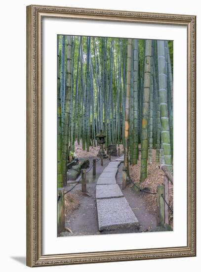Japan, Kanagawa, Kamakura, Hokokuji Temple Garden-Rob Tilley-Framed Photographic Print