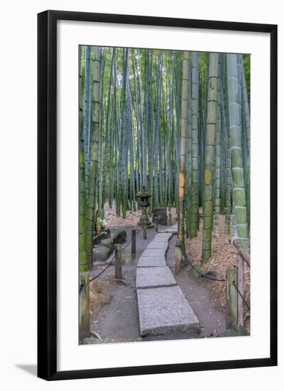 Japan, Kanagawa, Kamakura, Hokokuji Temple Garden-Rob Tilley-Framed Photographic Print