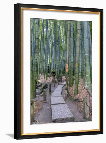 Japan, Kanagawa, Kamakura, Hokokuji Temple Garden-Rob Tilley-Framed Photographic Print