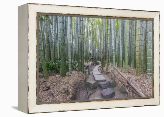 Japan, Kanagawa, Kamakura, Hokokuji Temple Garden-Rob Tilley-Framed Premier Image Canvas