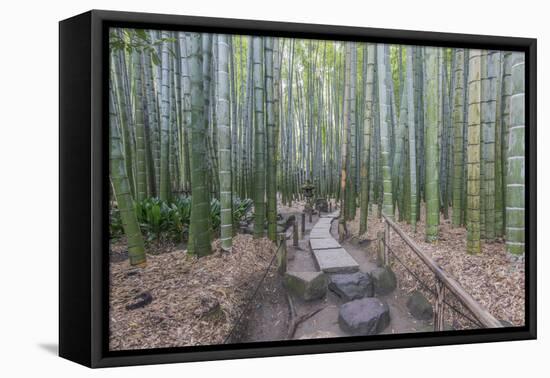 Japan, Kanagawa, Kamakura, Hokokuji Temple Garden-Rob Tilley-Framed Premier Image Canvas