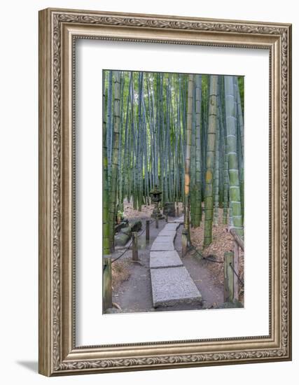 Japan, Kanagawa, Kamakura, Hokokuji Temple Garden-Rob Tilley-Framed Photographic Print