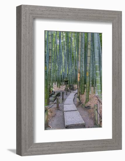 Japan, Kanagawa, Kamakura, Hokokuji Temple Garden-Rob Tilley-Framed Photographic Print