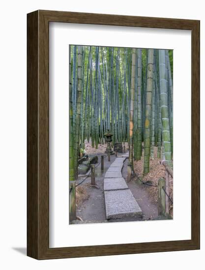 Japan, Kanagawa, Kamakura, Hokokuji Temple Garden-Rob Tilley-Framed Photographic Print