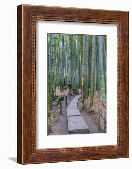 Japan, Kanagawa, Kamakura, Hokokuji Temple Garden-Rob Tilley-Framed Photographic Print