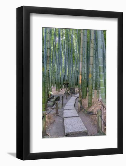 Japan, Kanagawa, Kamakura, Hokokuji Temple Garden-Rob Tilley-Framed Photographic Print