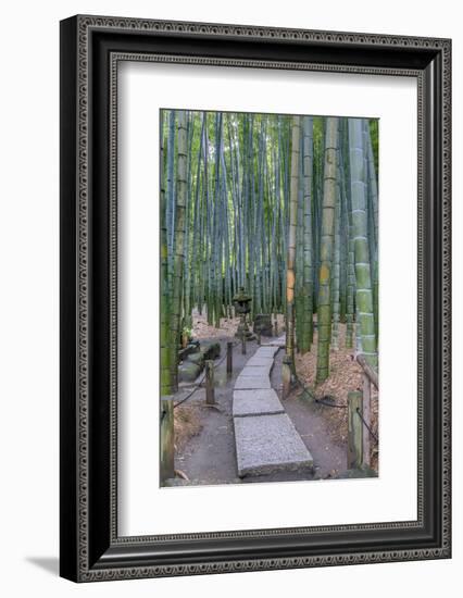 Japan, Kanagawa, Kamakura, Hokokuji Temple Garden-Rob Tilley-Framed Photographic Print