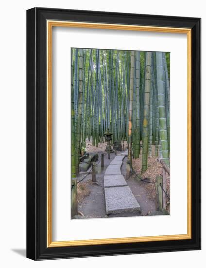 Japan, Kanagawa, Kamakura, Hokokuji Temple Garden-Rob Tilley-Framed Photographic Print