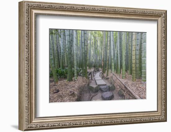 Japan, Kanagawa, Kamakura, Hokokuji Temple Garden-Rob Tilley-Framed Photographic Print