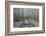 Japan, Kanagawa, Kamakura, Hokokuji Temple Garden-Rob Tilley-Framed Photographic Print