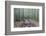 Japan, Kanagawa, Kamakura, Hokokuji Temple Garden-Rob Tilley-Framed Photographic Print