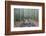 Japan, Kanagawa, Kamakura, Hokokuji Temple Garden-Rob Tilley-Framed Photographic Print