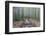 Japan, Kanagawa, Kamakura, Hokokuji Temple Garden-Rob Tilley-Framed Photographic Print