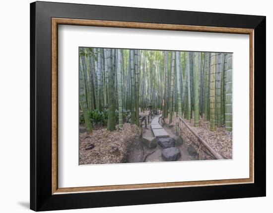 Japan, Kanagawa, Kamakura, Hokokuji Temple Garden-Rob Tilley-Framed Photographic Print