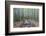 Japan, Kanagawa, Kamakura, Hokokuji Temple Garden-Rob Tilley-Framed Photographic Print