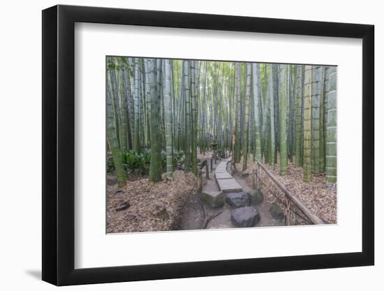 Japan, Kanagawa, Kamakura, Hokokuji Temple Garden-Rob Tilley-Framed Photographic Print