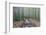 Japan, Kanagawa, Kamakura, Hokokuji Temple Garden-Rob Tilley-Framed Photographic Print