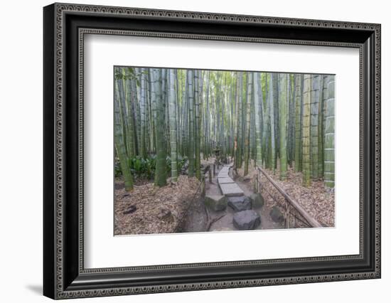 Japan, Kanagawa, Kamakura, Hokokuji Temple Garden-Rob Tilley-Framed Photographic Print