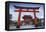 Japan, Kyoto, a Wedding Bride and Groom Pose at Fushimi Inari Shrine-Jane Sweeney-Framed Premier Image Canvas