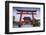 Japan, Kyoto, a Wedding Bride and Groom Pose at Fushimi Inari Shrine-Jane Sweeney-Framed Photographic Print