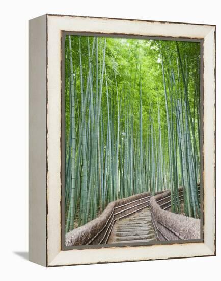 Japan, Kyoto, Arashiyama, Adashino Nembutsu-ji Temple, Bamboo Forest-Steve Vidler-Framed Premier Image Canvas