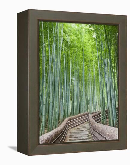 Japan, Kyoto, Arashiyama, Adashino Nembutsu-ji Temple, Bamboo Forest-Steve Vidler-Framed Premier Image Canvas