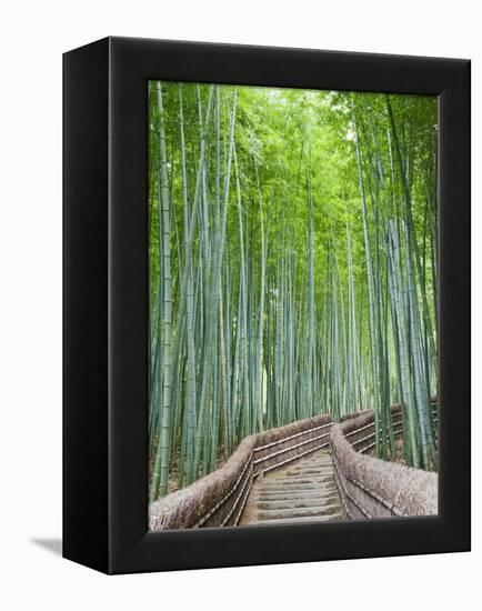 Japan, Kyoto, Arashiyama, Adashino Nembutsu-ji Temple, Bamboo Forest-Steve Vidler-Framed Premier Image Canvas