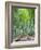 Japan, Kyoto, Arashiyama, Adashino Nembutsu-ji Temple, Bamboo Forest-Steve Vidler-Framed Photographic Print