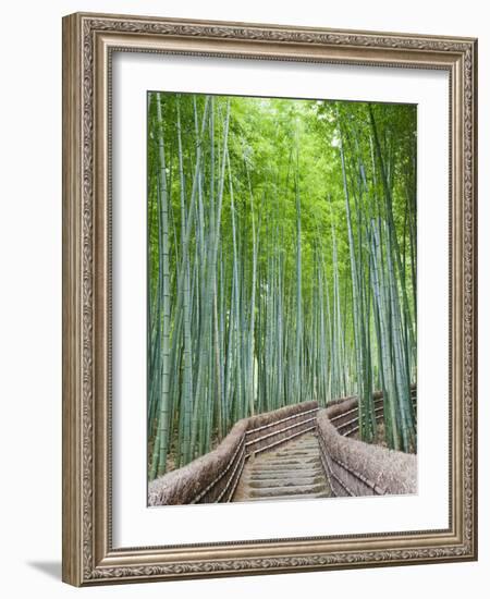 Japan, Kyoto, Arashiyama, Adashino Nembutsu-ji Temple, Bamboo Forest-Steve Vidler-Framed Photographic Print