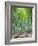 Japan, Kyoto, Arashiyama, Adashino Nembutsu-ji Temple, Bamboo Forest-Steve Vidler-Framed Photographic Print