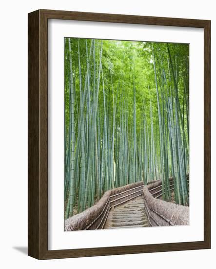 Japan, Kyoto, Arashiyama, Adashino Nembutsu-ji Temple, Bamboo Forest-Steve Vidler-Framed Photographic Print