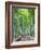 Japan, Kyoto, Arashiyama, Adashino Nembutsu-ji Temple, Bamboo Forest-Steve Vidler-Framed Photographic Print