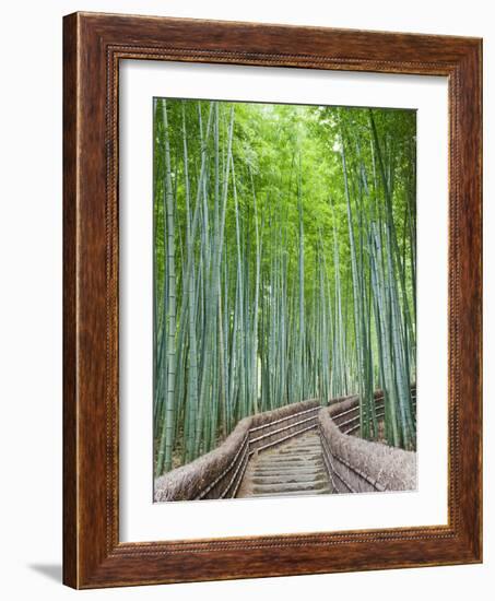 Japan, Kyoto, Arashiyama, Adashino Nembutsu-ji Temple, Bamboo Forest-Steve Vidler-Framed Photographic Print