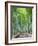 Japan, Kyoto, Arashiyama, Adashino Nembutsu-ji Temple, Bamboo Forest-Steve Vidler-Framed Photographic Print