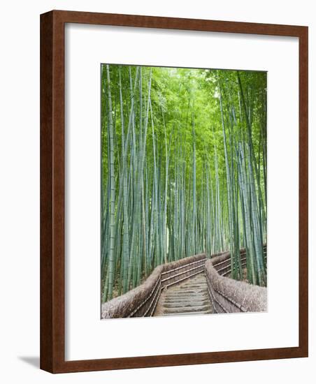 Japan, Kyoto, Arashiyama, Adashino Nembutsu-ji Temple, Bamboo Forest-Steve Vidler-Framed Photographic Print